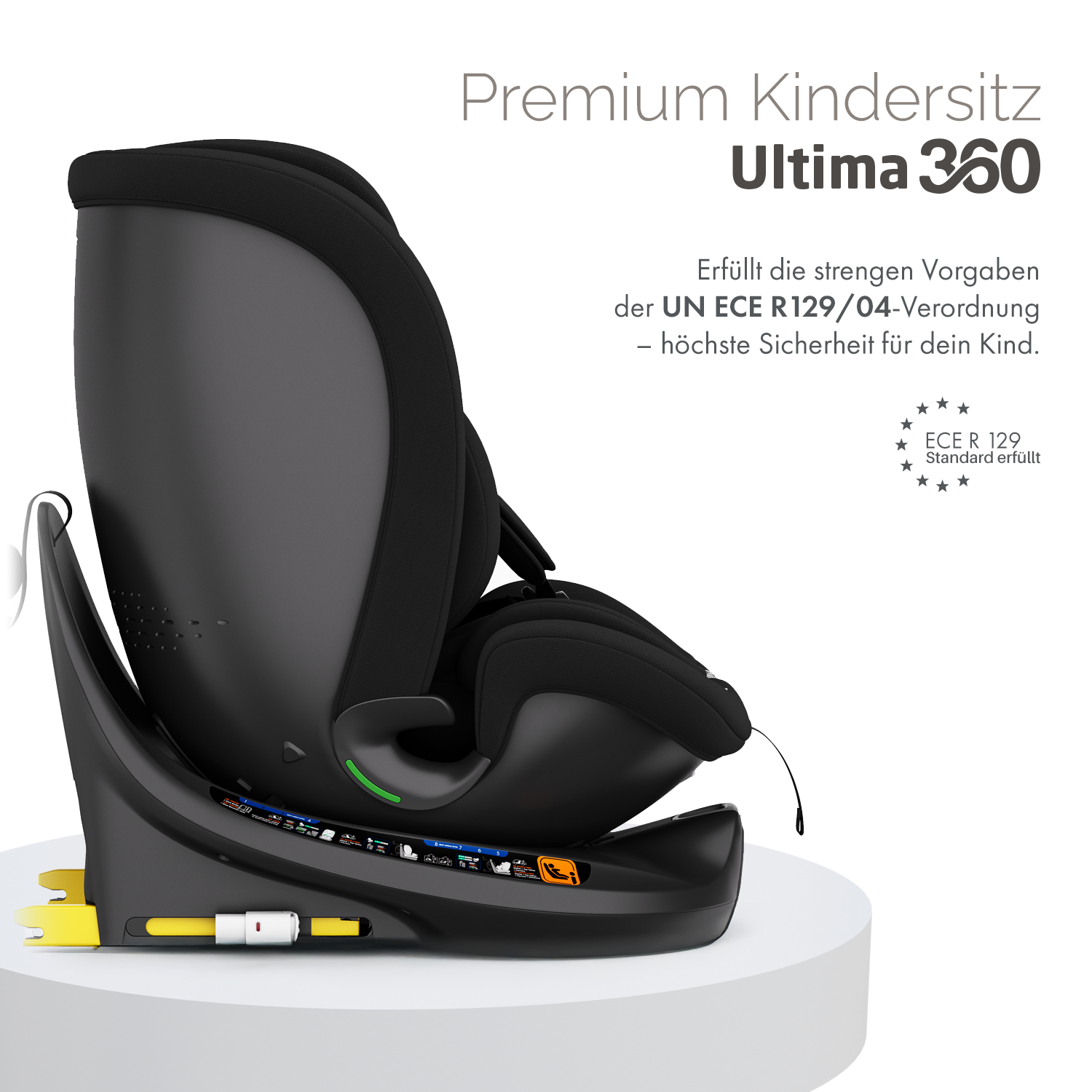 Abmessungen des Kratzbaums